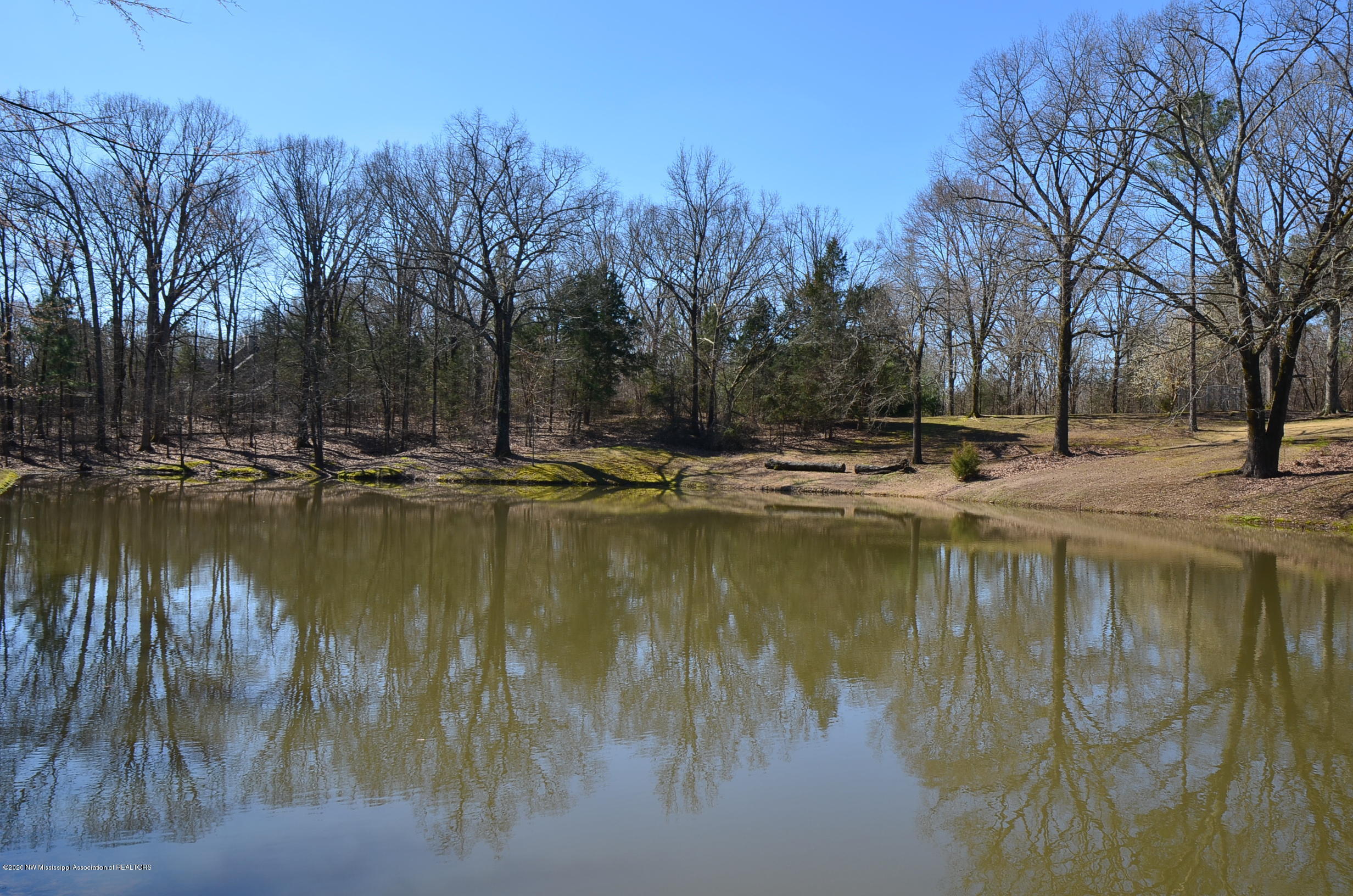 1300 Horn Lake Road Nesbit, MS 38651 - Photo 36 of 39 Lake View 2