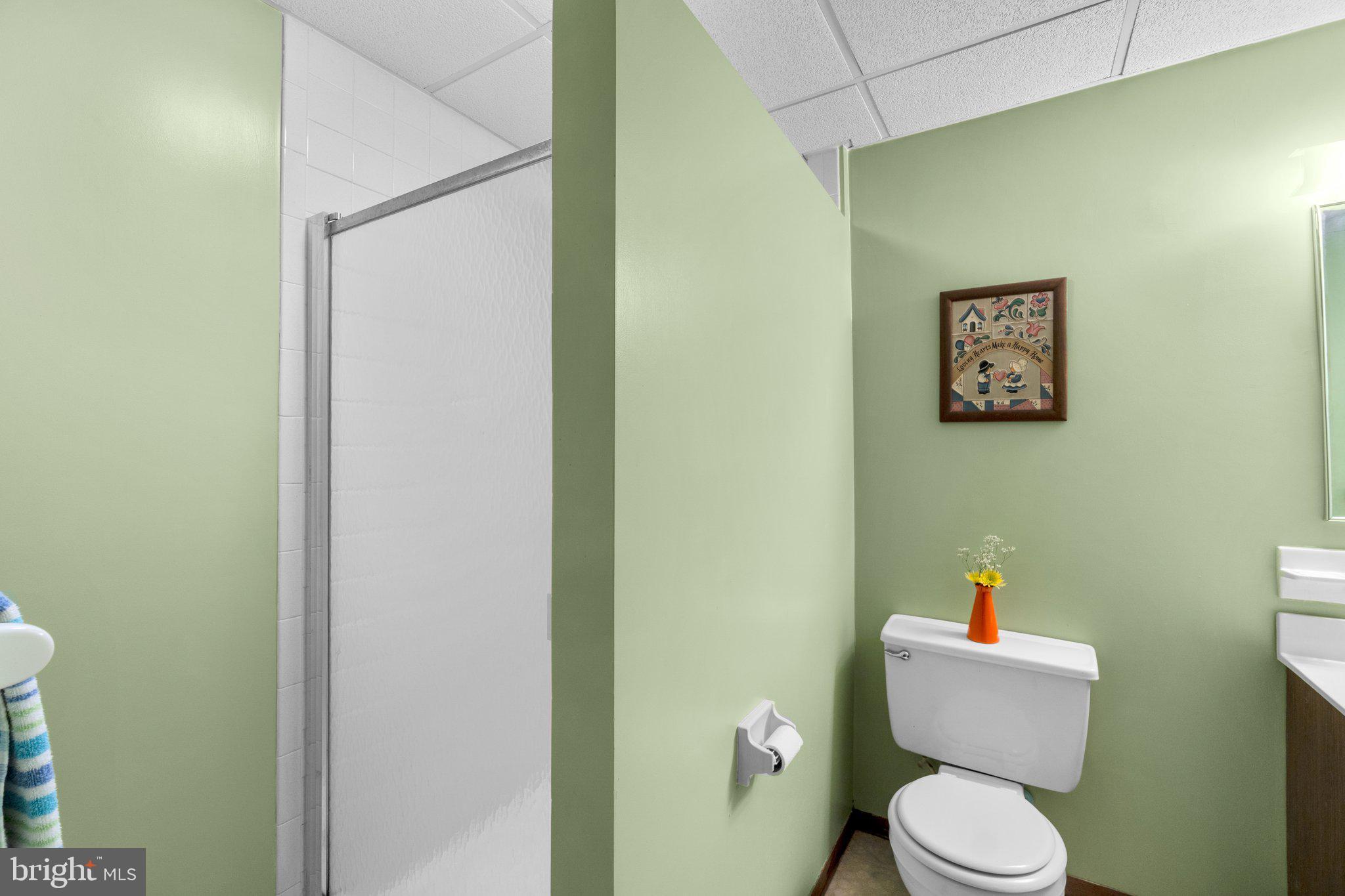 8008 Meadowview Drive Frederick, MD 21702 - Photo 35 of 42 a white toilet sitting next to a bathroom sink