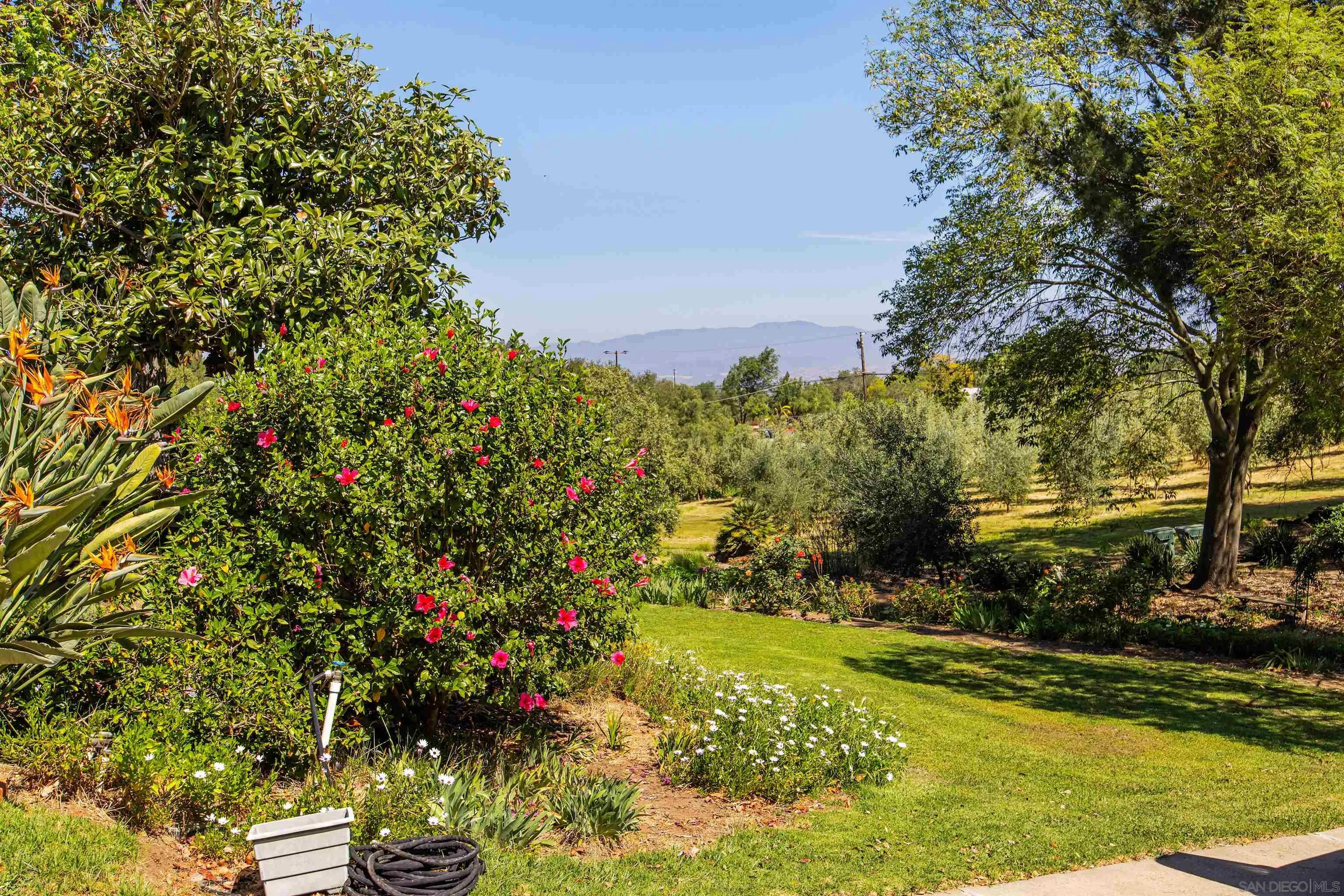 28808 Mountain Meadow Road Escondido, CA 92026 - Photo 36 of 67