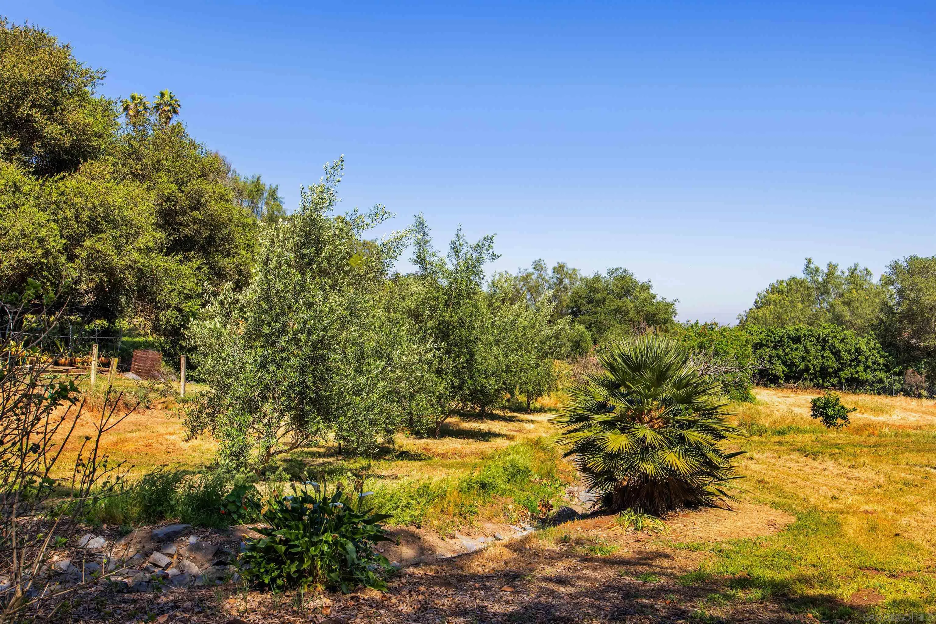 28808 Mountain Meadow Road Escondido, CA 92026 - Photo 54 of 67