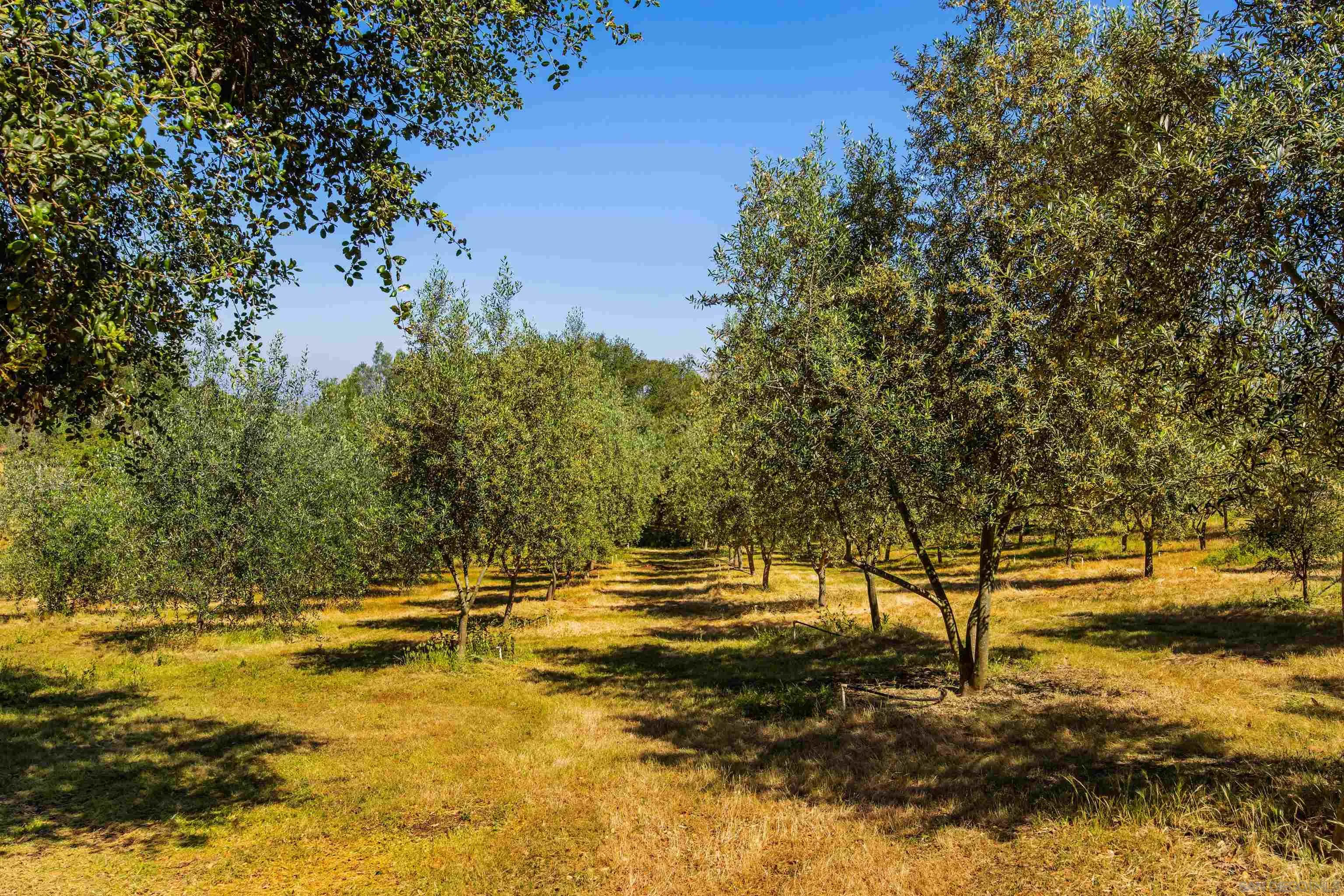 28808 Mountain Meadow Road Escondido, CA 92026 - Photo 55 of 67