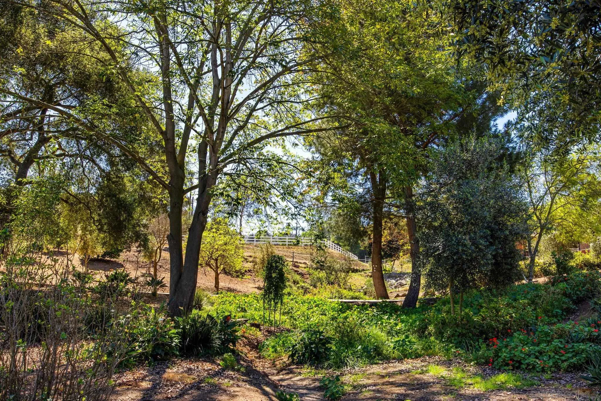 28808 Mountain Meadow Road Escondido, CA 92026 - Photo 61 of 67