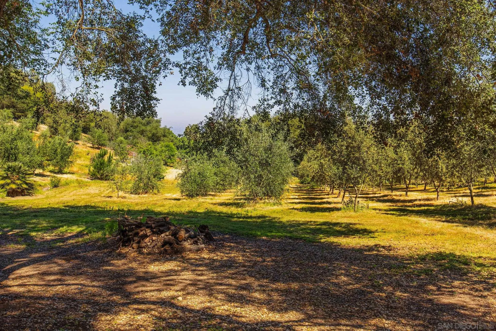 28808 Mountain Meadow Road Escondido, CA 92026 - Photo 62 of 67