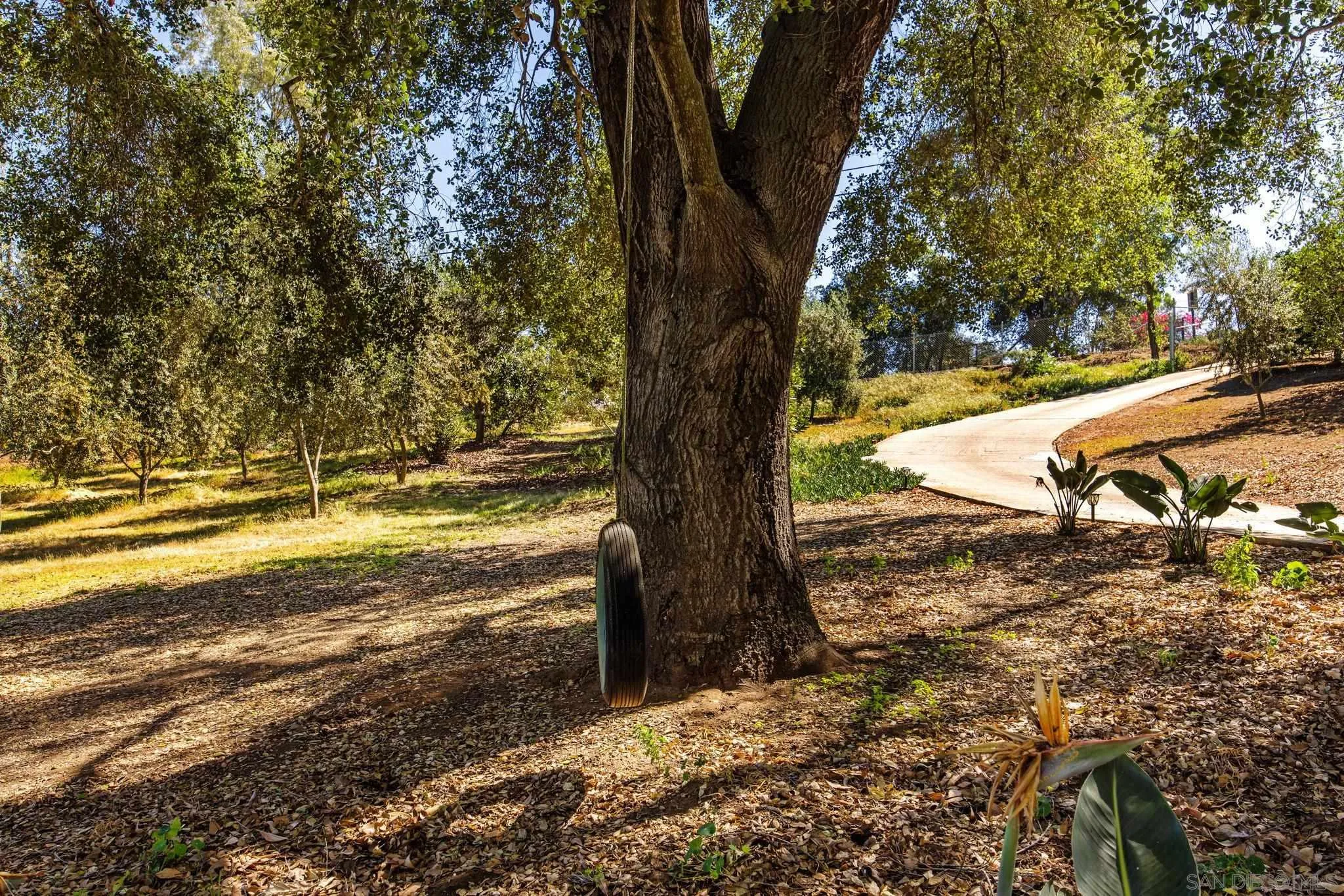 28808 Mountain Meadow Road Escondido, CA 92026 - Photo 63 of 67