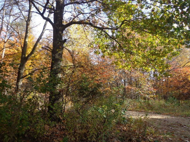3860 East Stage Road Ionia, MI 48846 - Photo 11 of 18 DSC04132