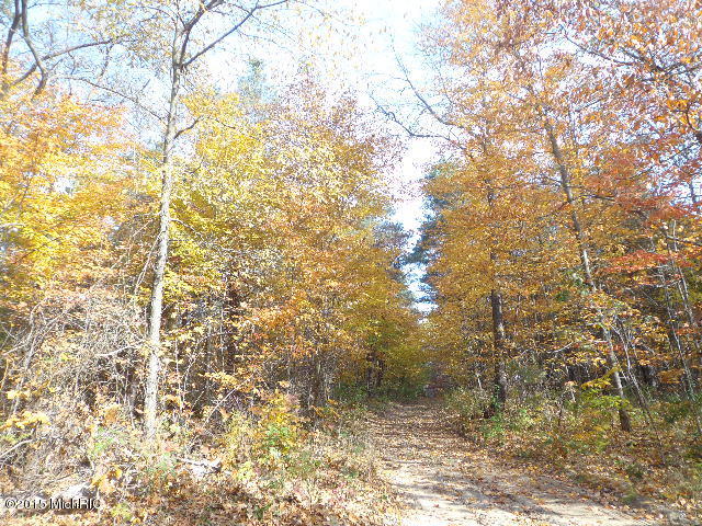 3860 East Stage Road Ionia, MI 48846 - Photo 13 of 18 DSC04134