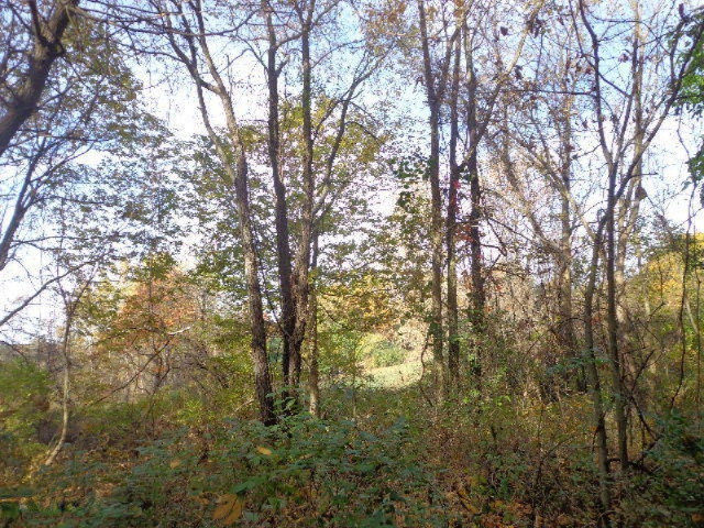 3860 East Stage Road Ionia, MI 48846 - Photo 18 of 18 DSC04139