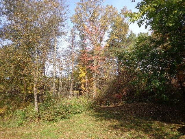 3860 East Stage Road Ionia, MI 48846 - Photo 9 of 18 DSC04123