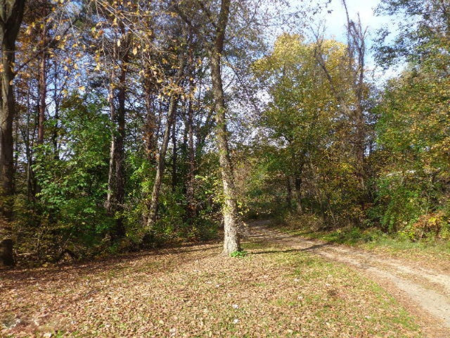 3860 East Stage Road Ionia, MI 48846 - Photo 10 of 18 DSC04124