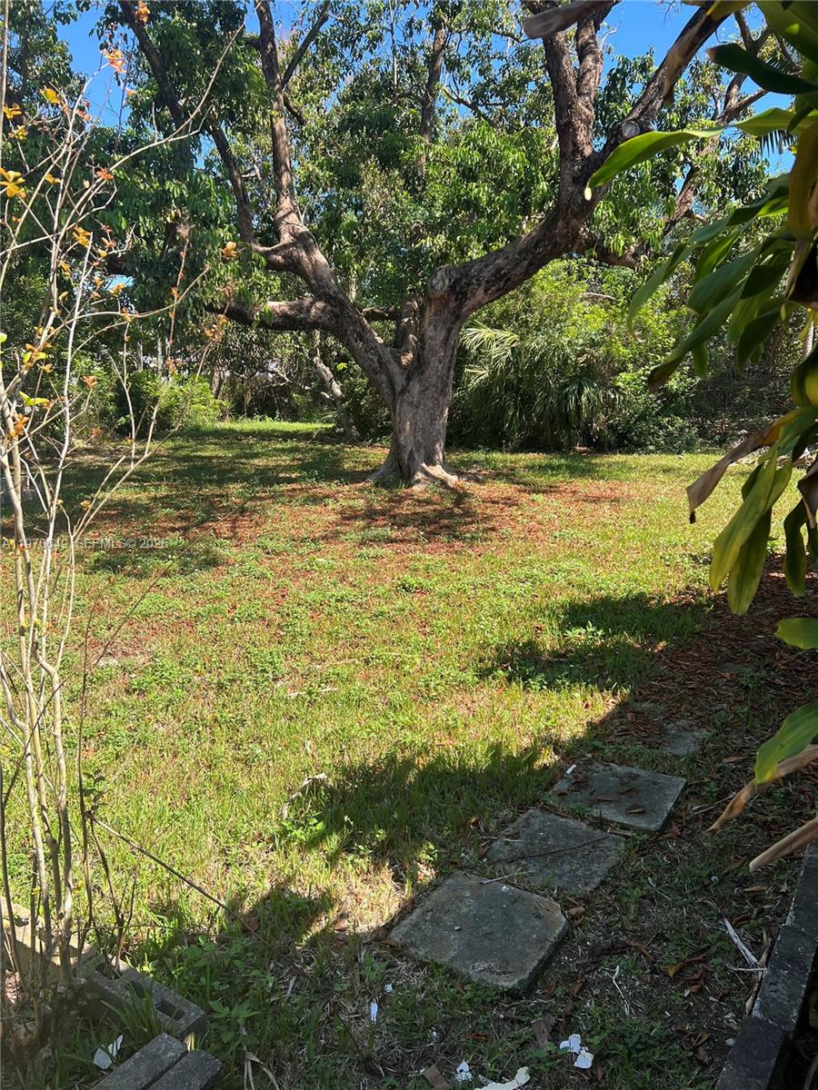 14435 Southwest 289th Street Homestead, FL 33033 - Photo 17 of 18 a view of a yard with an trees