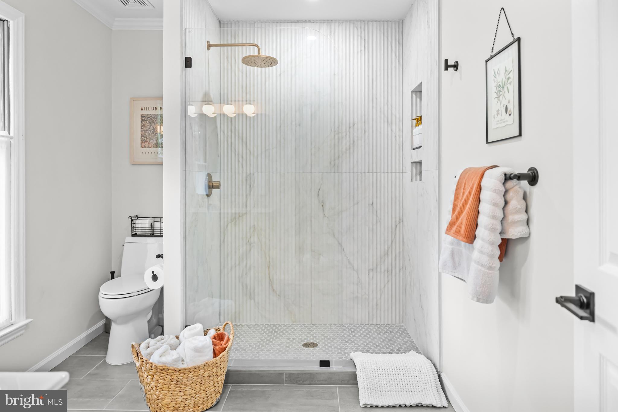 20808 Wild Goose Lane Leesburg, VA 20175 - Photo 42 of 86 a bathroom with a shower a toilet and a shower