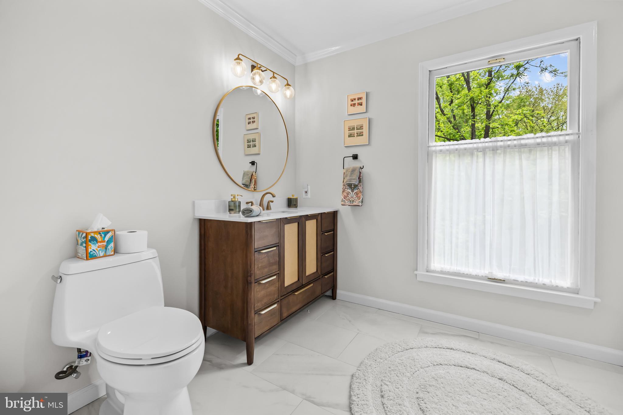 20808 Wild Goose Lane Leesburg, VA 20175 - Photo 47 of 86 a bathroom with a toilet a sink and a mirror