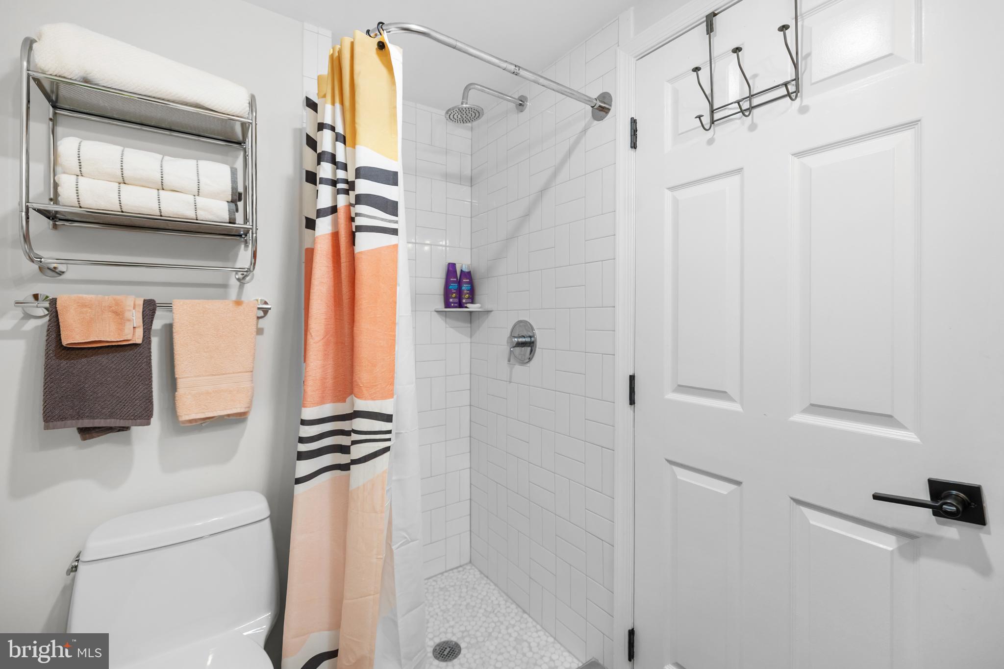 20808 Wild Goose Lane Leesburg, VA 20175 - Photo 59 of 86 a bathroom with a shower and a mirror