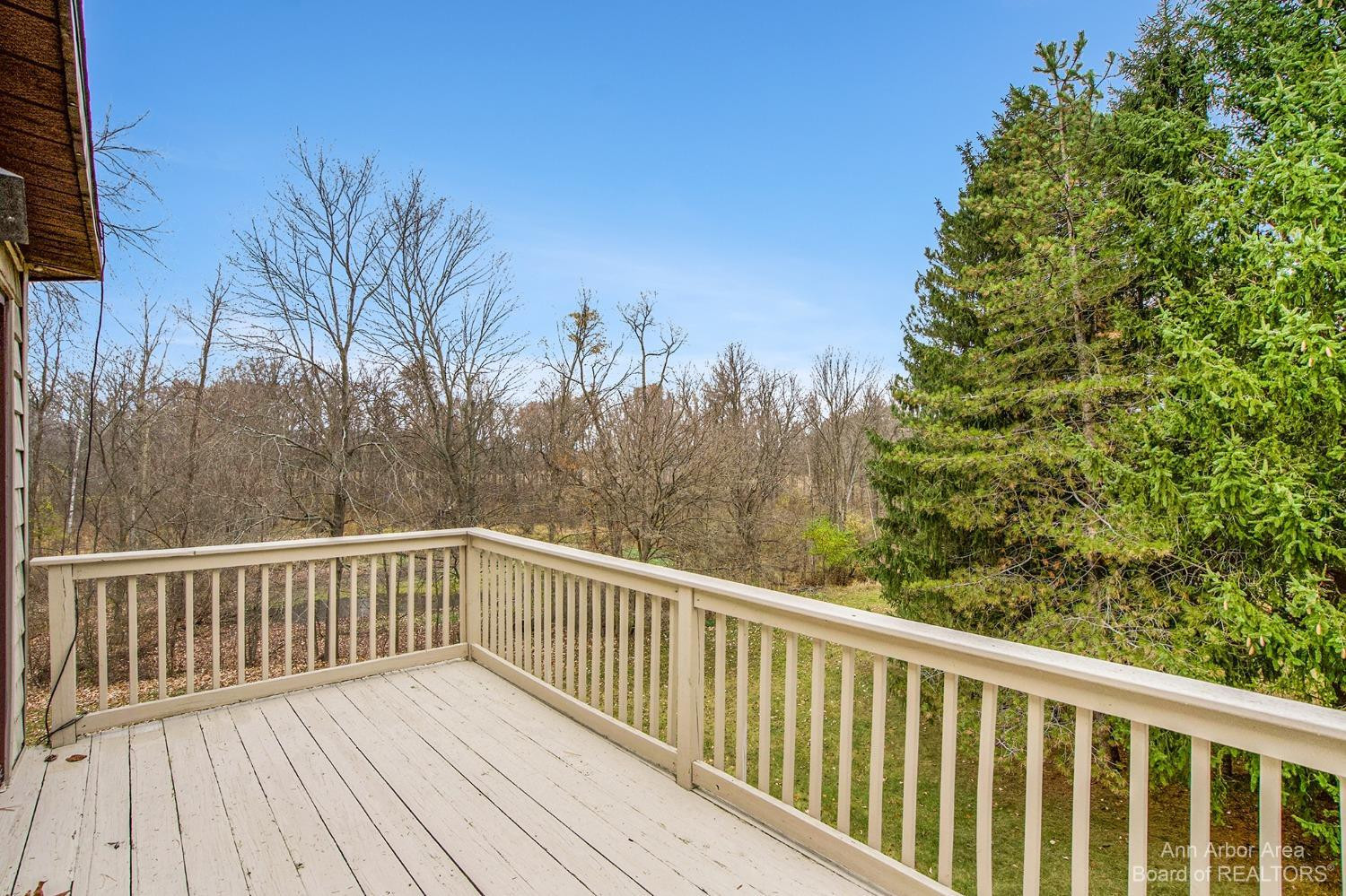 19350 Ivey Road Chelsea, MI 48118 - Photo 18 of 34 Primary balcony view.