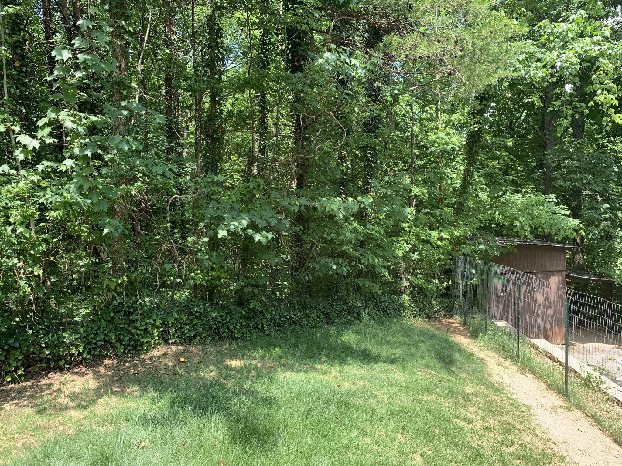4023 Hatcher Hollow Road Walland, TN 37886 - Photo 35 of 39 Gallery Image 35