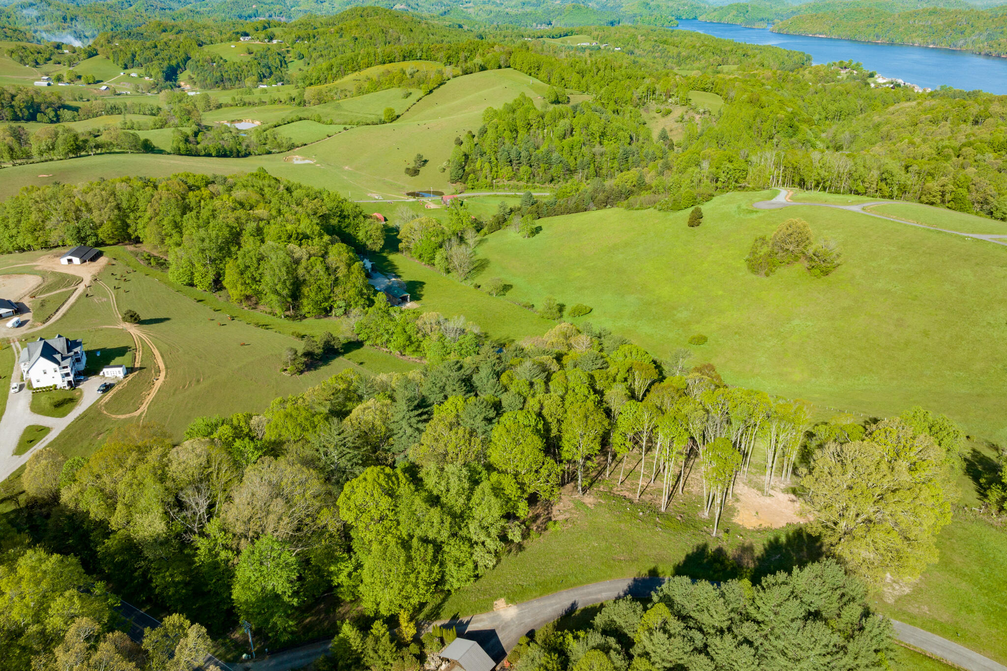 Lot 1 West Of Dry Hill Road, Unit 1 Butler, TN 37640 - Photo 13 of 53 TBD Eagle Ridge LOT 1 (14 of 37)