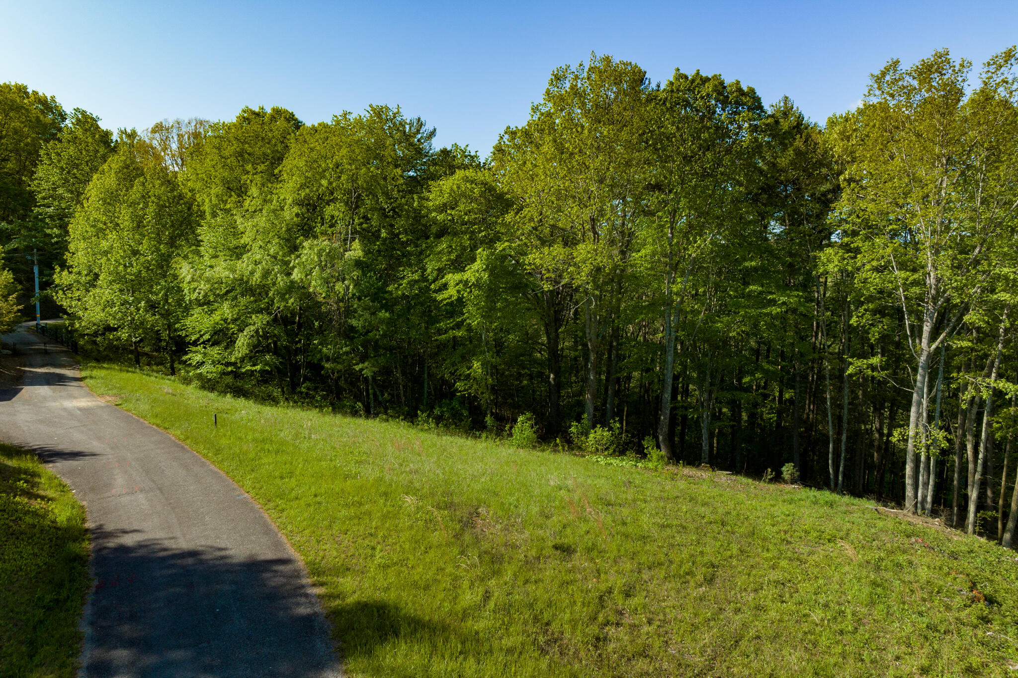 Lot 1 West Of Dry Hill Road, Unit 1 Butler, TN 37640 - Photo 14 of 53 TBD Eagle Ridge LOT 1 (15 of 37)