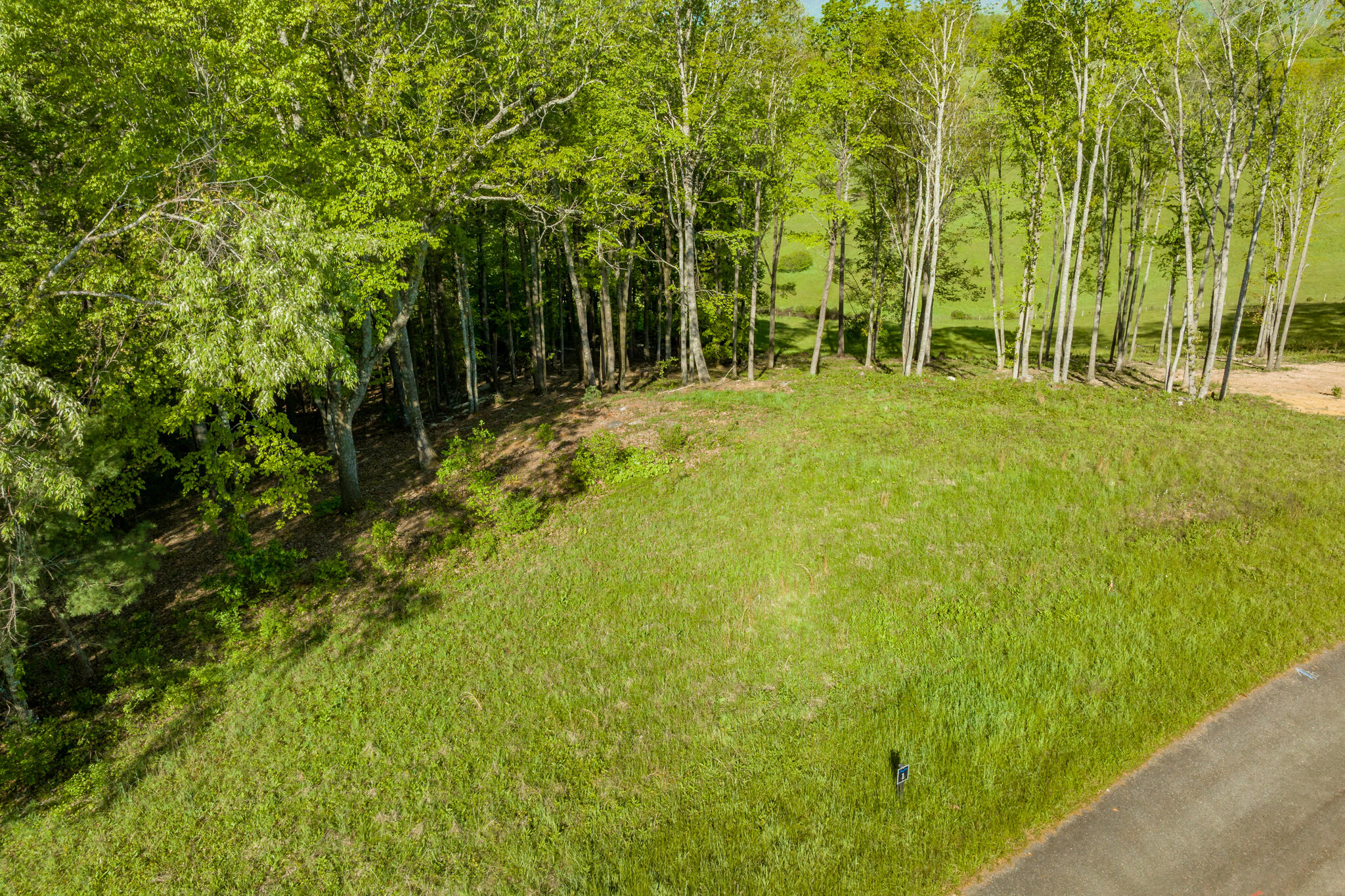 Lot 1 West Of Dry Hill Road, Unit 1 Butler, TN 37640 - Photo 17 of 53 TBD Eagle Ridge LOT 1 (18 of 37)
