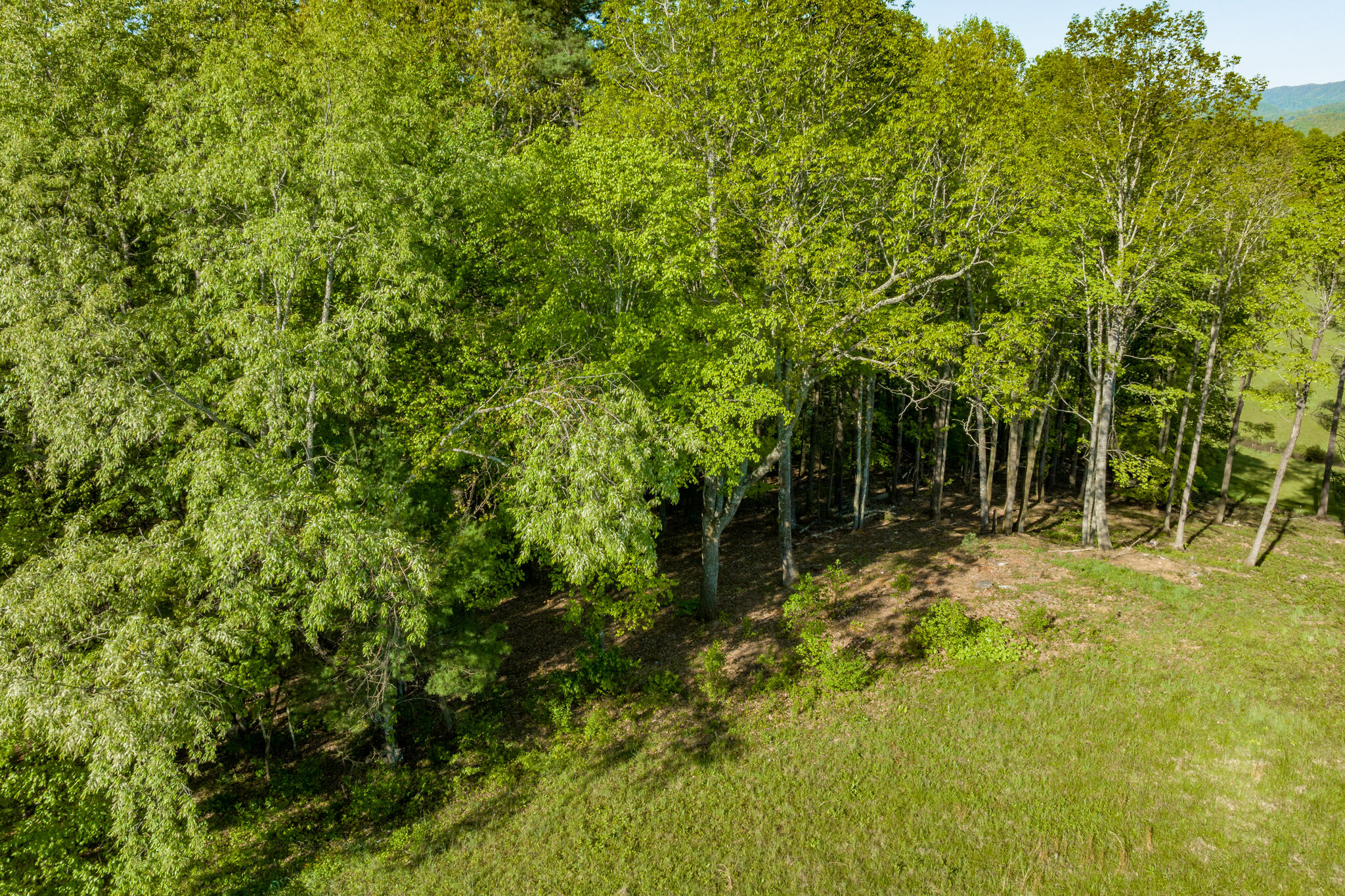 Lot 1 West Of Dry Hill Road, Unit 1 Butler, TN 37640 - Photo 18 of 53 TBD Eagle Ridge LOT 1 (19 of 37)