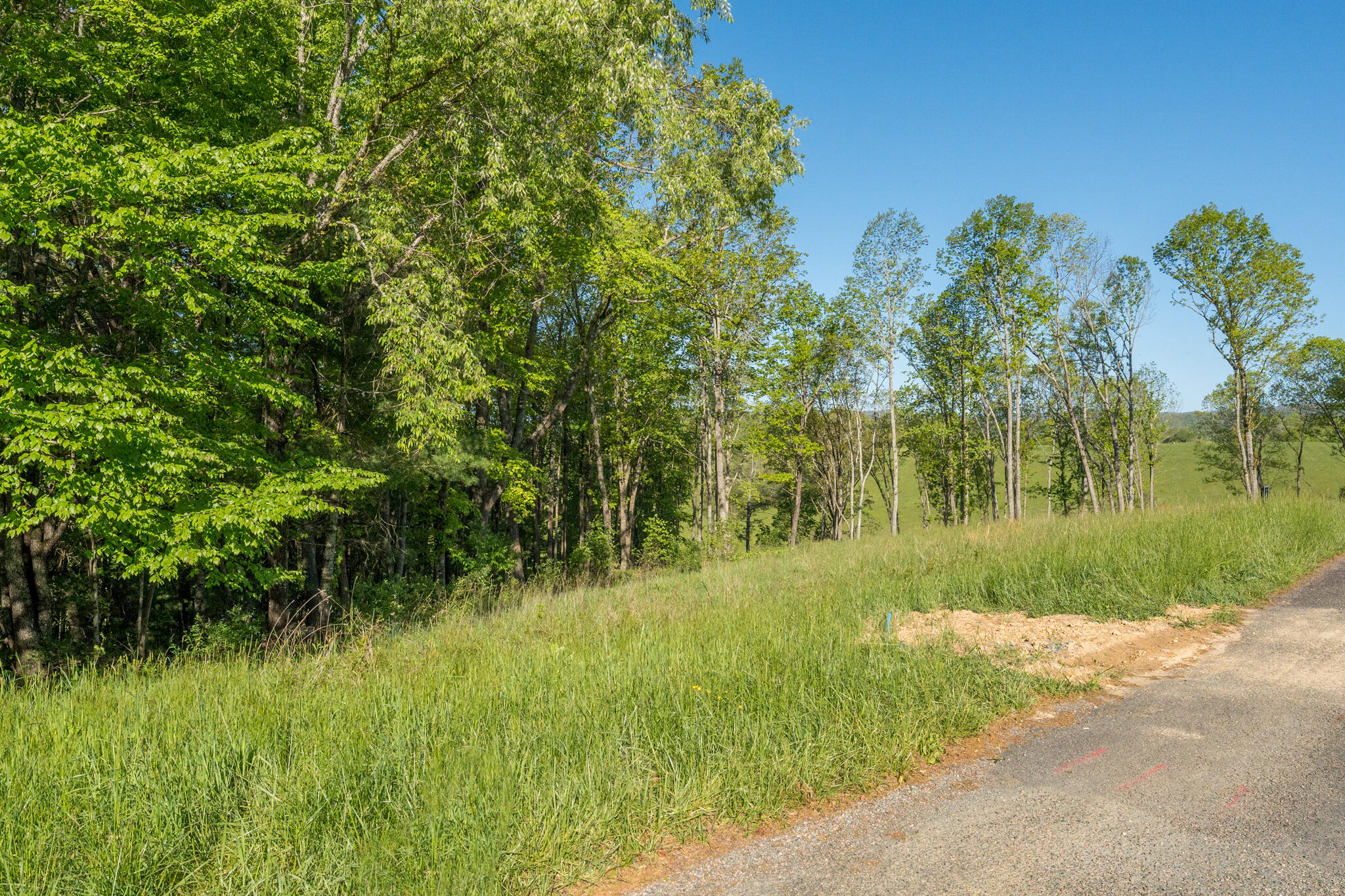 Lot 1 West Of Dry Hill Road, Unit 1 Butler, TN 37640 - Photo 21 of 53 TBD Eagle Ridge LOT 1 (22 of 37)