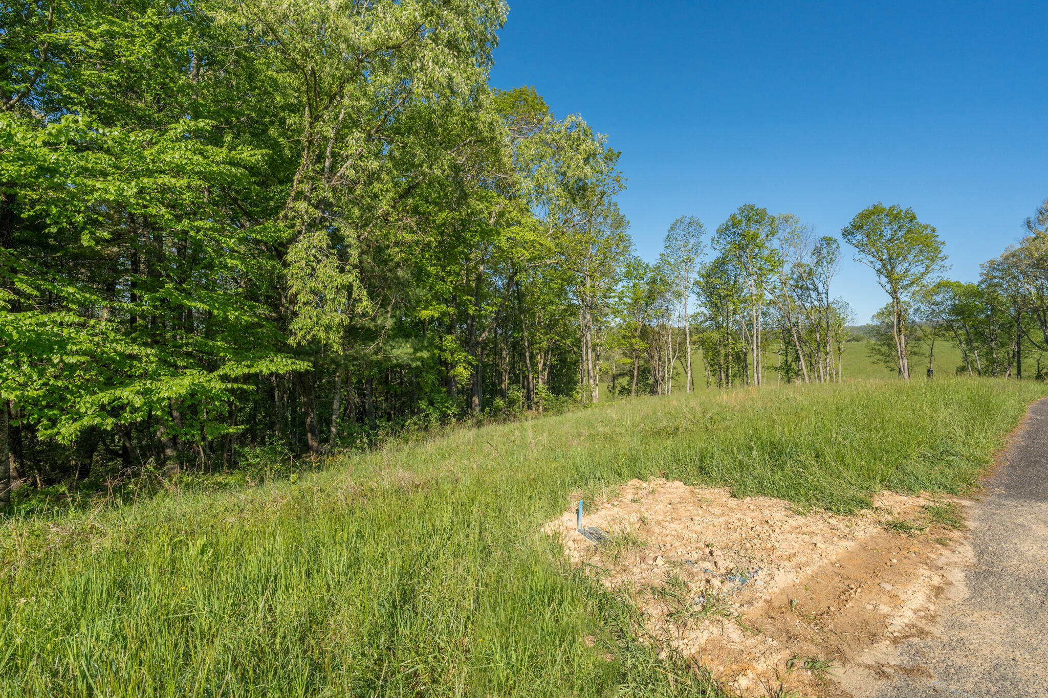 Lot 1 West Of Dry Hill Road, Unit 1 Butler, TN 37640 - Photo 23 of 53 TBD Eagle Ridge LOT 1 (24 of 37)