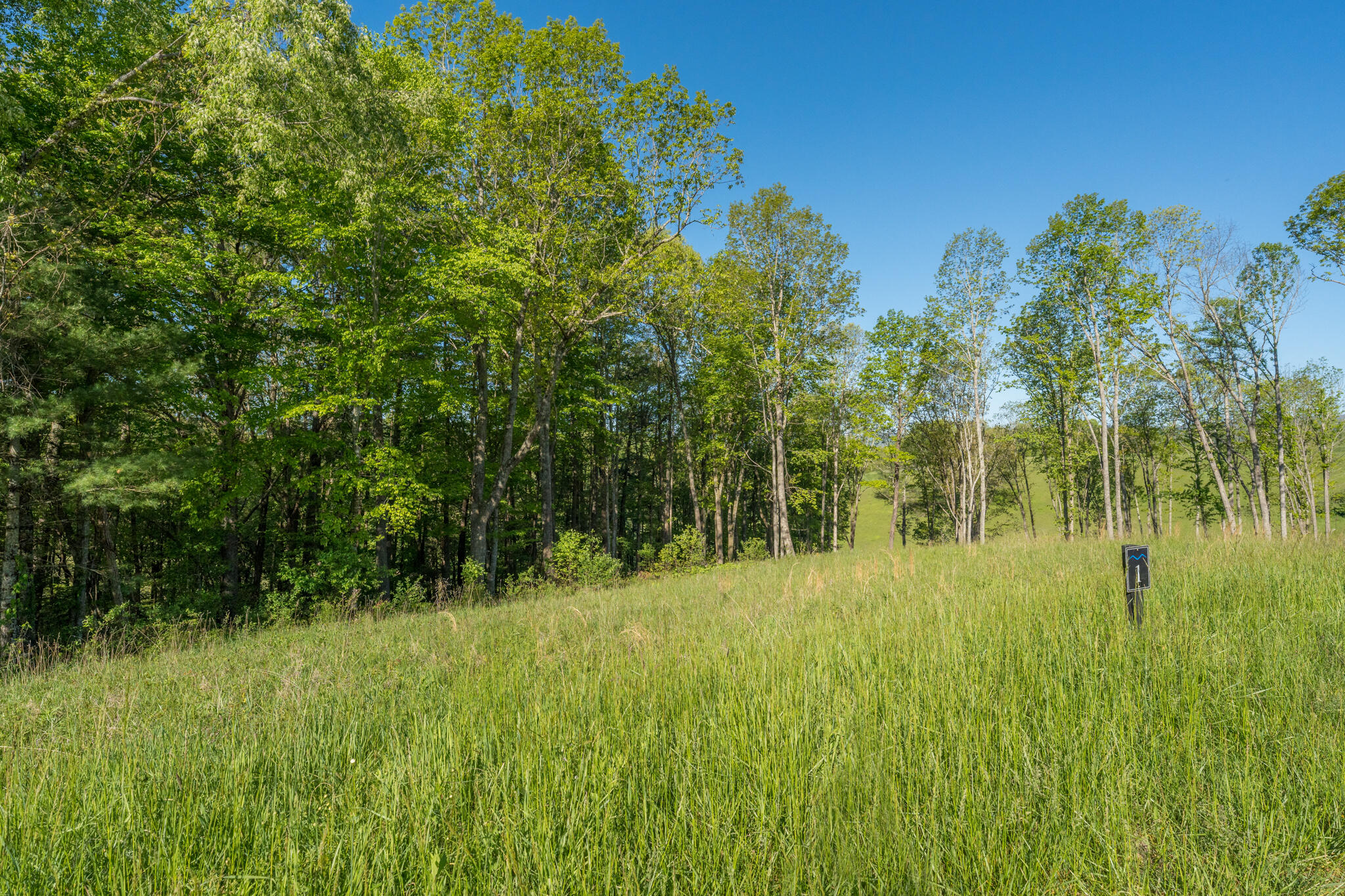 Lot 1 West Of Dry Hill Road, Unit 1 Butler, TN 37640 - Photo 24 of 53 TBD Eagle Ridge LOT 1 (25 of 37)
