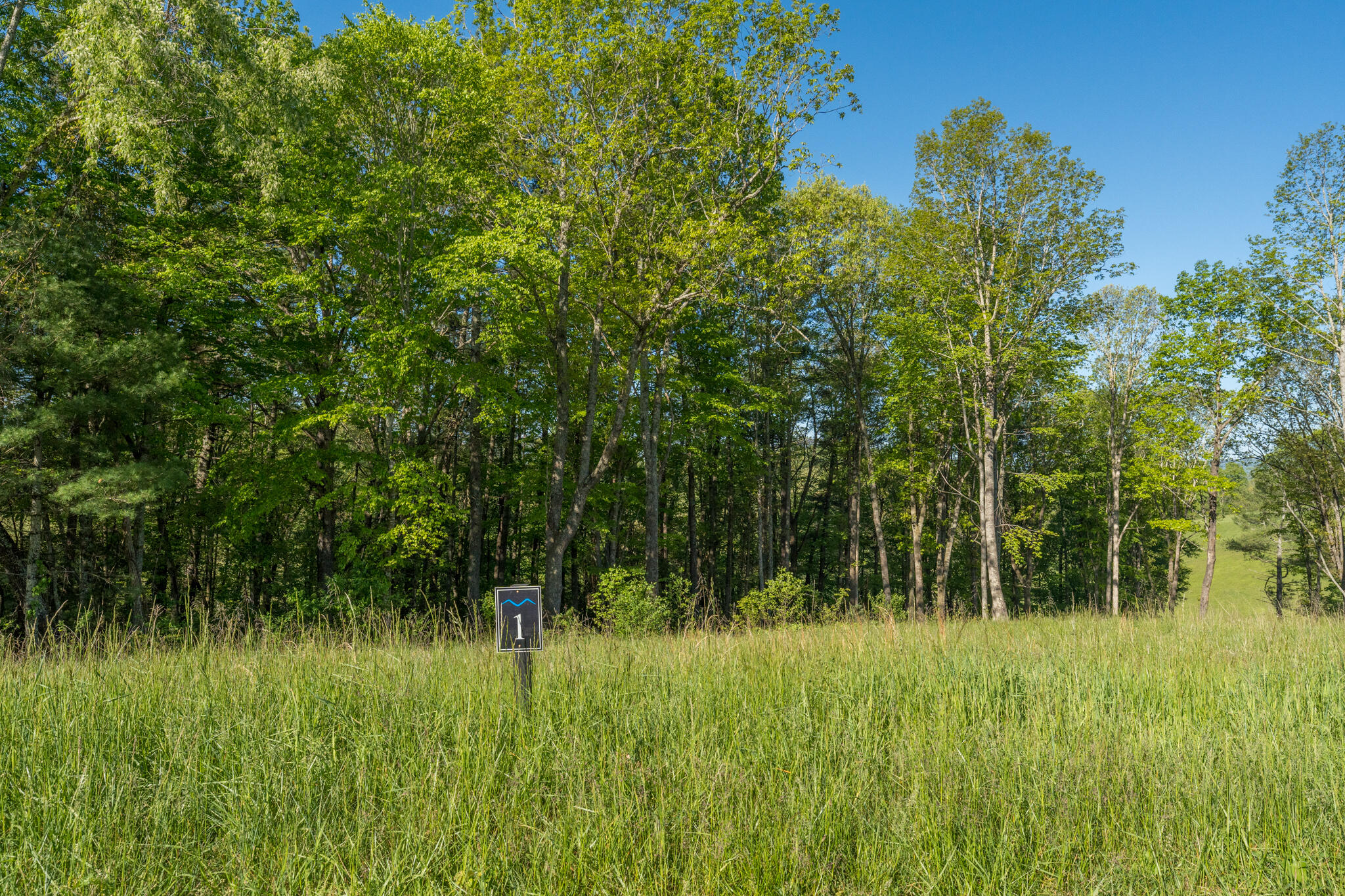 Lot 1 West Of Dry Hill Road, Unit 1 Butler, TN 37640 - Photo 25 of 53 TBD Eagle Ridge LOT 1 (26 of 37)