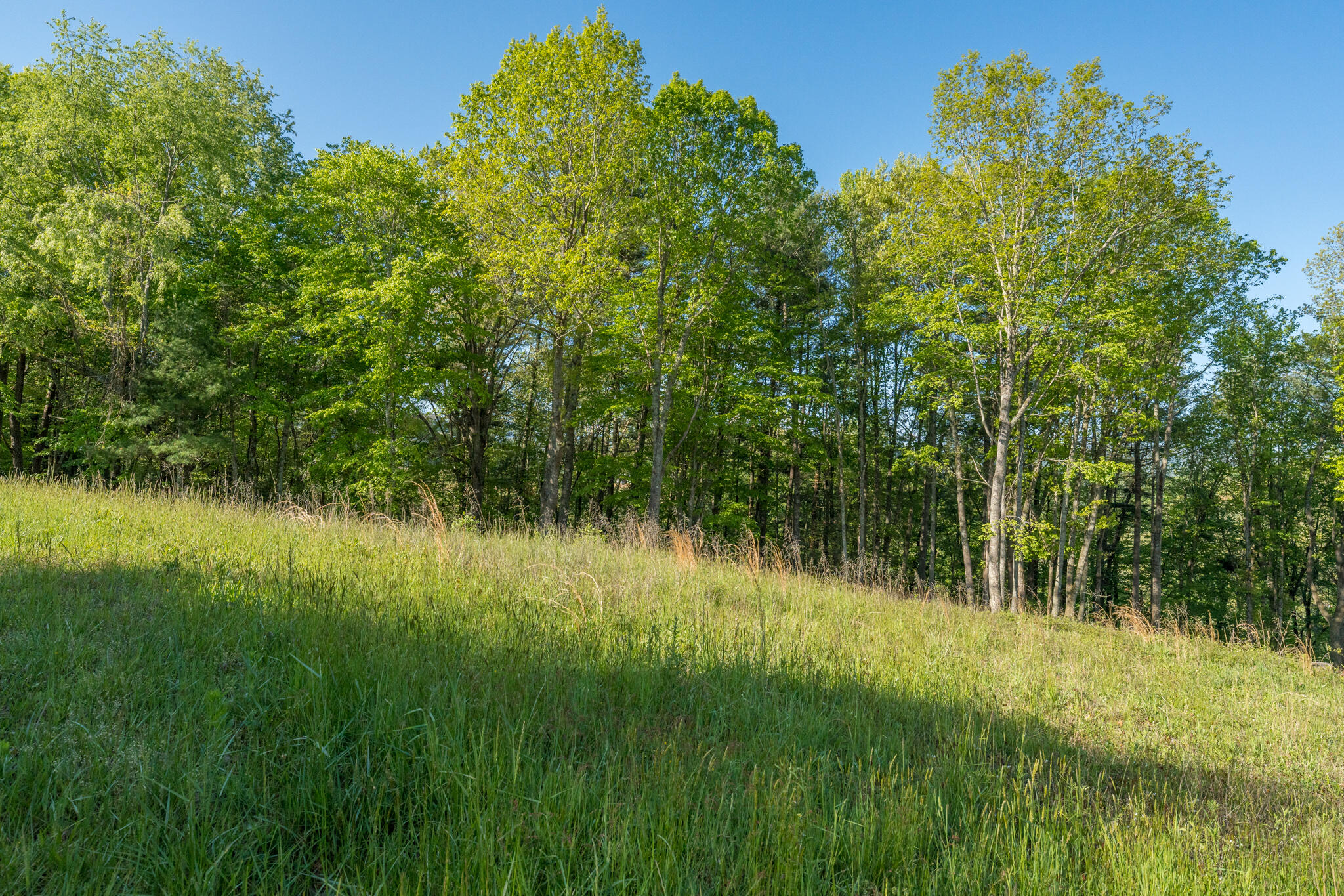 Lot 1 West Of Dry Hill Road, Unit 1 Butler, TN 37640 - Photo 26 of 53 TBD Eagle Ridge LOT 1 (27 of 37)