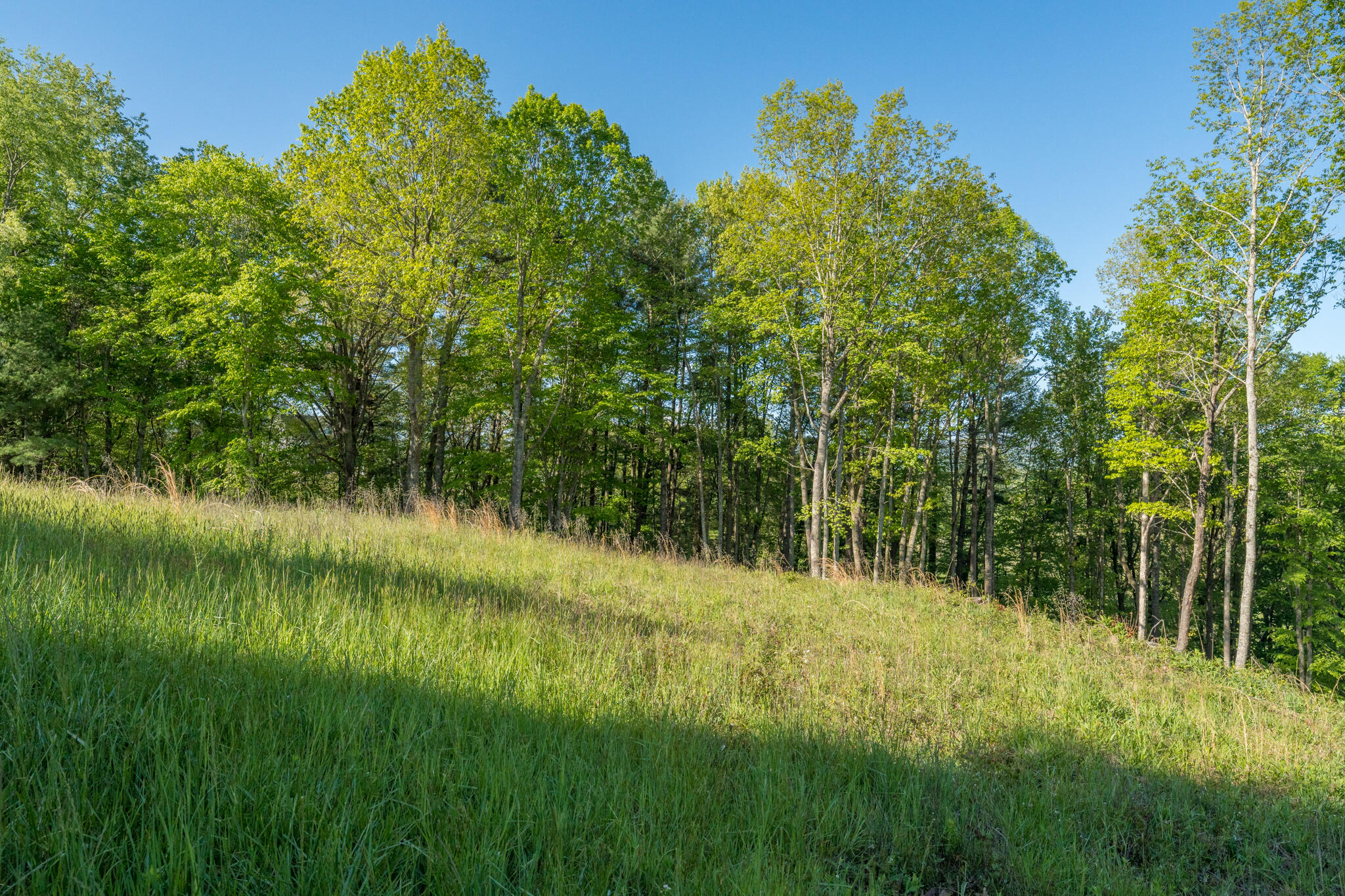 Lot 1 West Of Dry Hill Road, Unit 1 Butler, TN 37640 - Photo 27 of 53 TBD Eagle Ridge LOT 1 (28 of 37)