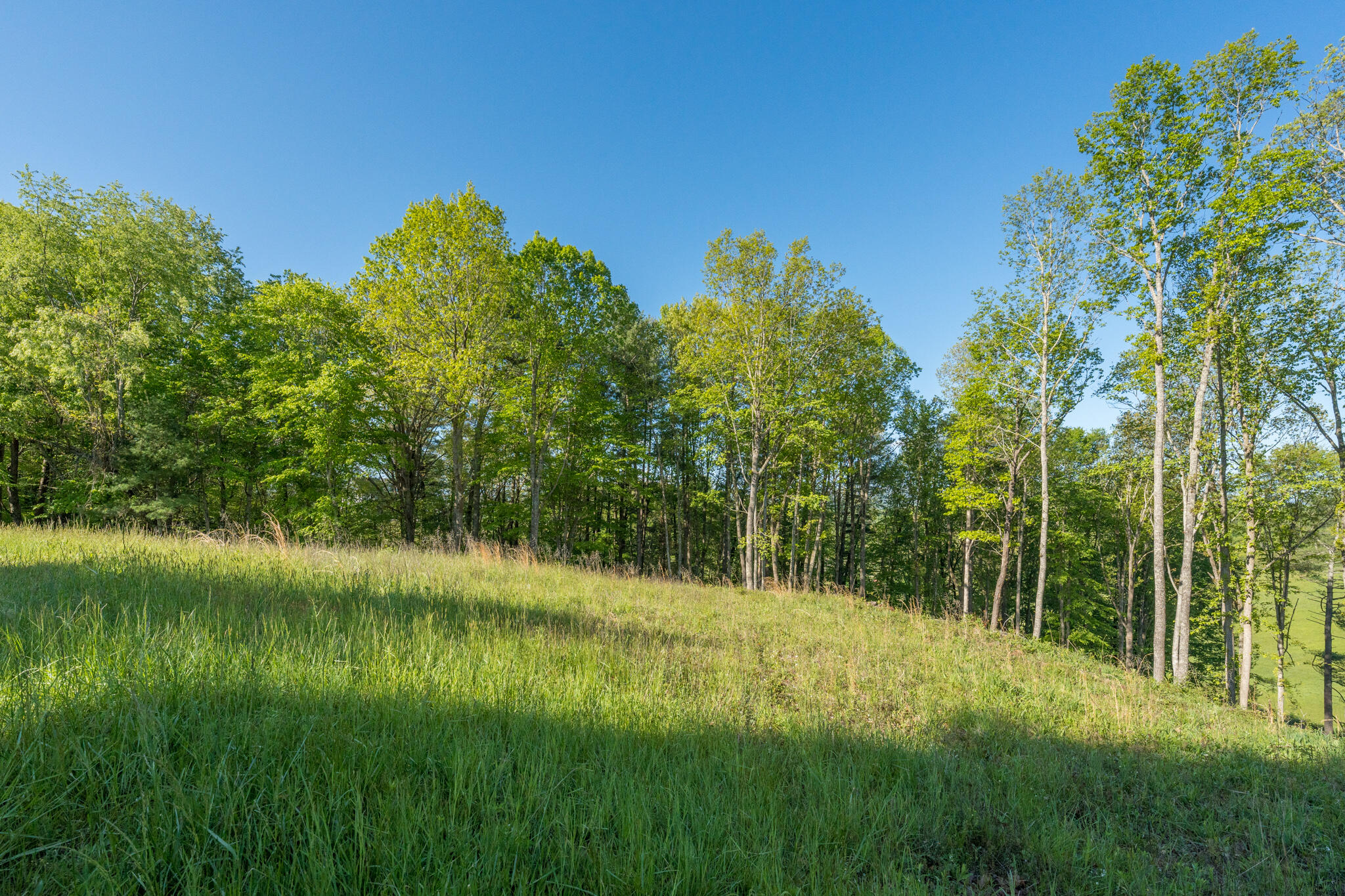 Lot 1 West Of Dry Hill Road, Unit 1 Butler, TN 37640 - Photo 28 of 53 TBD Eagle Ridge LOT 1 (29 of 37)