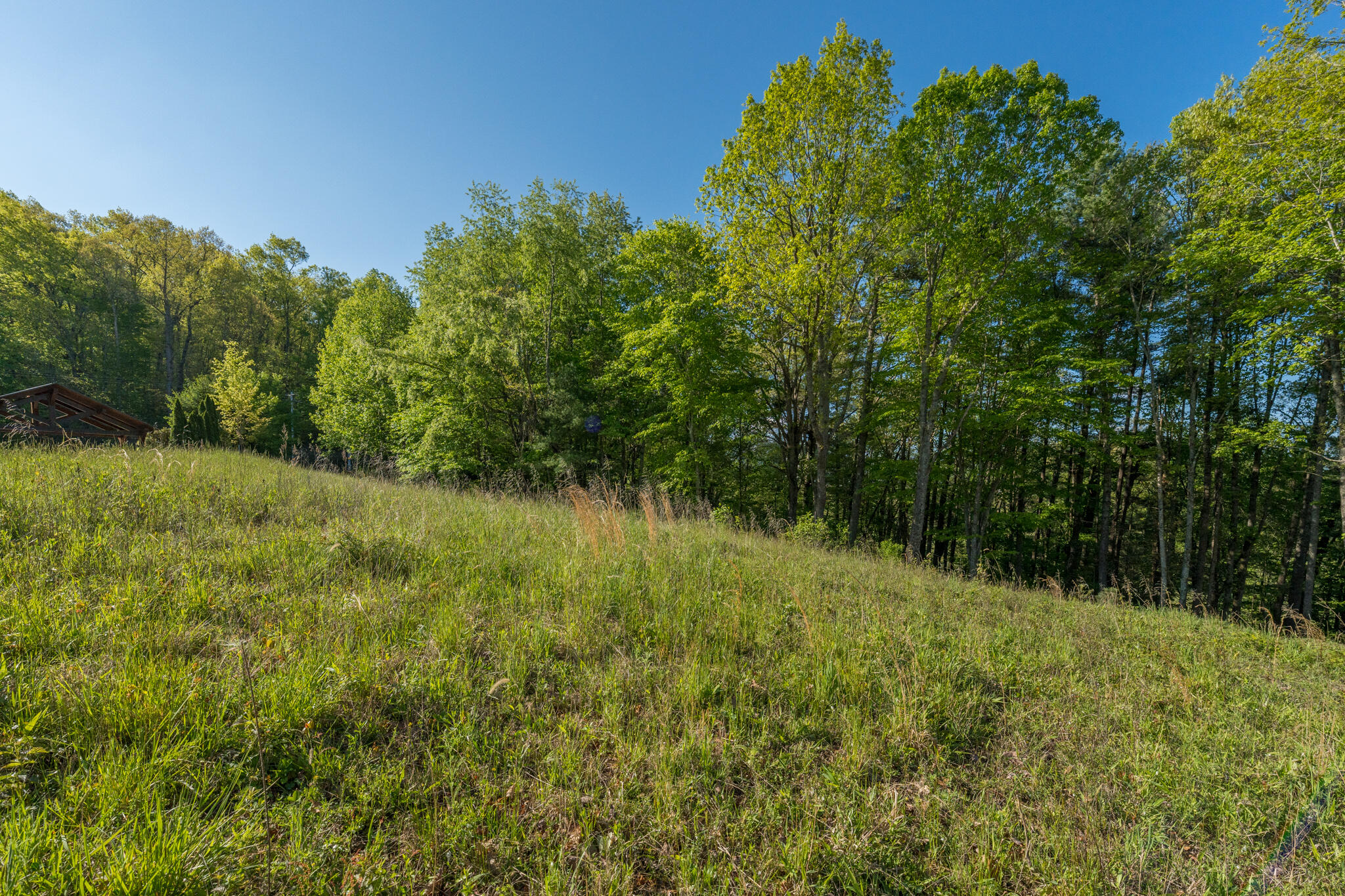 Lot 1 West Of Dry Hill Road, Unit 1 Butler, TN 37640 - Photo 29 of 53 TBD Eagle Ridge LOT 1 (30 of 37)