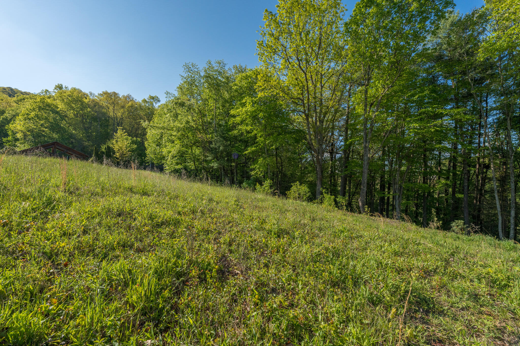 Lot 1 West Of Dry Hill Road, Unit 1 Butler, TN 37640 - Photo 30 of 53 TBD Eagle Ridge LOT 1 (31 of 37)