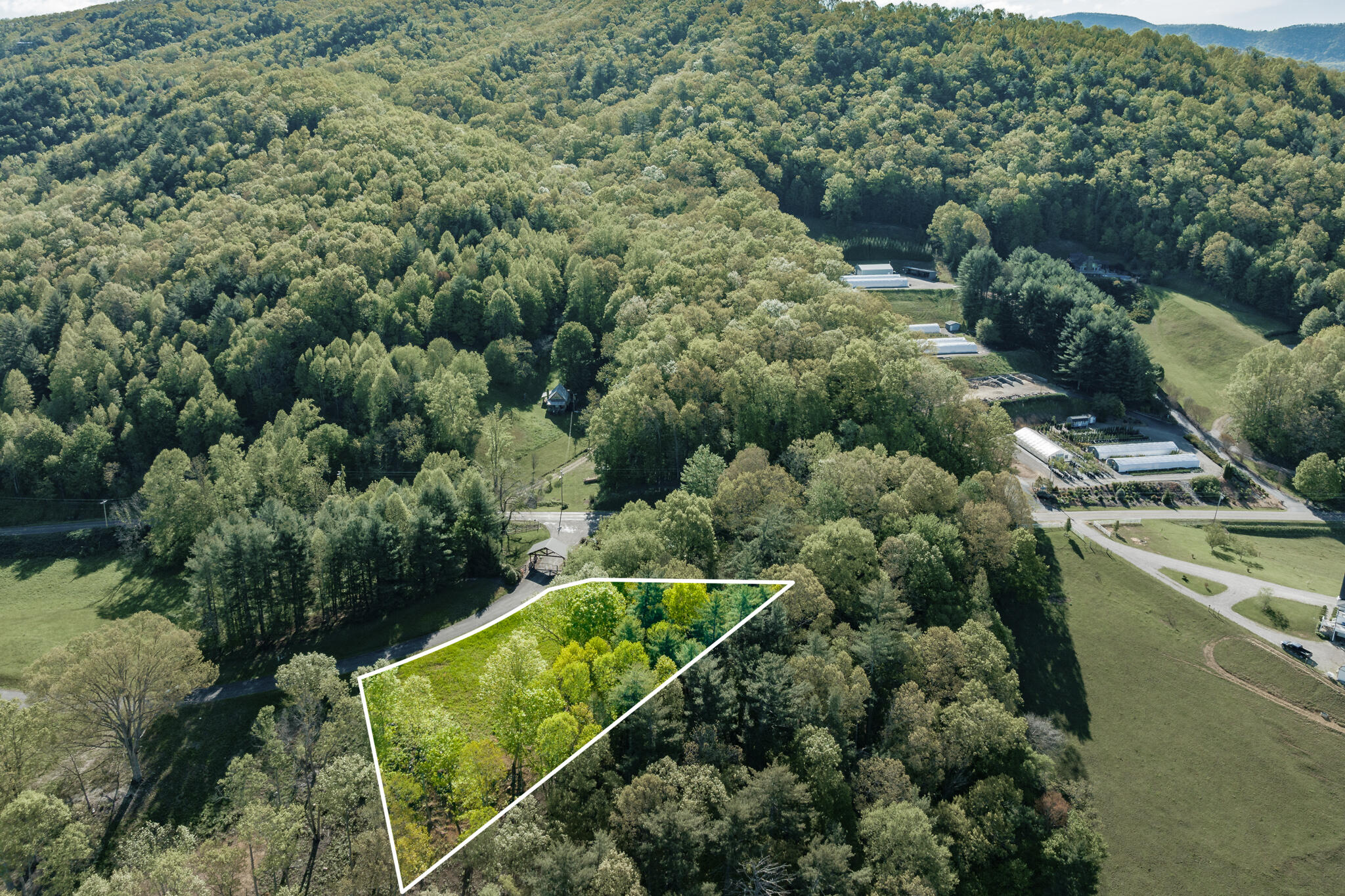 Lot 1 West Of Dry Hill Road, Unit 1 Butler, TN 37640 - Photo 3 of 53 TBD Eagle Ridge LOT 1 (3 of 37)