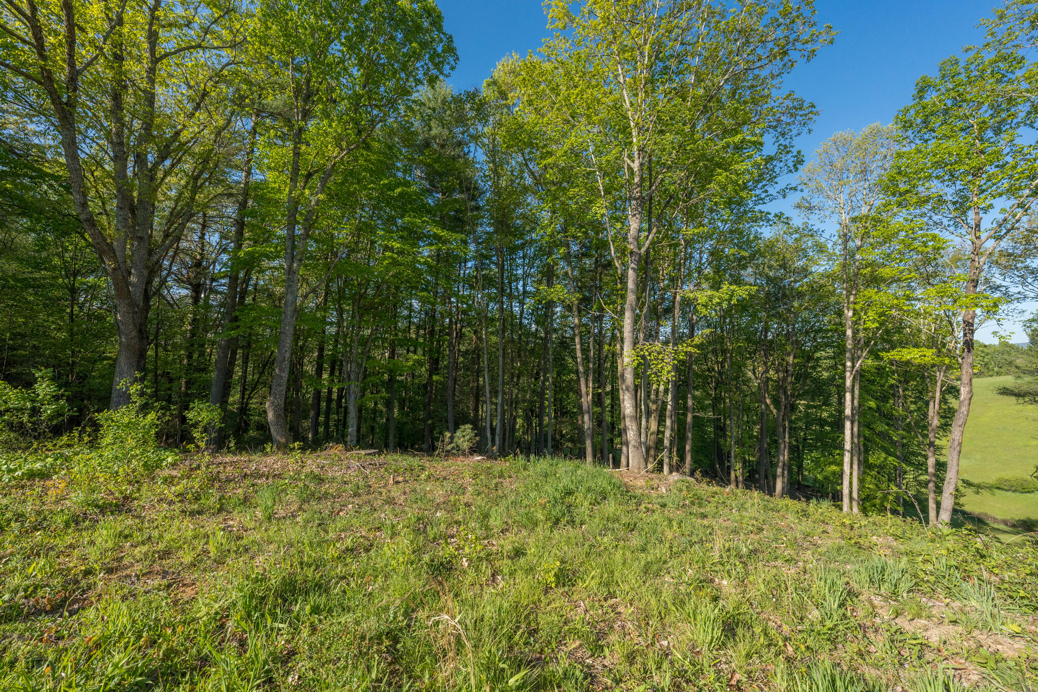 Lot 1 West Of Dry Hill Road, Unit 1 Butler, TN 37640 - Photo 31 of 53 TBD Eagle Ridge LOT 1 (32 of 37)