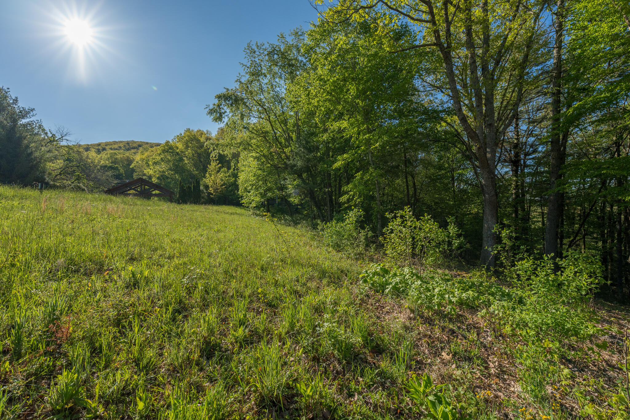 Lot 1 West Of Dry Hill Road, Unit 1 Butler, TN 37640 - Photo 32 of 53 TBD Eagle Ridge LOT 1 (33 of 37)