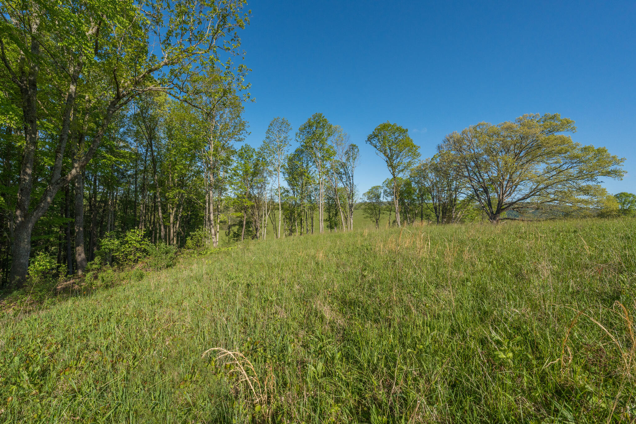 Lot 1 West Of Dry Hill Road, Unit 1 Butler, TN 37640 - Photo 35 of 53 TBD Eagle Ridge LOT 1 (36 of 37)
