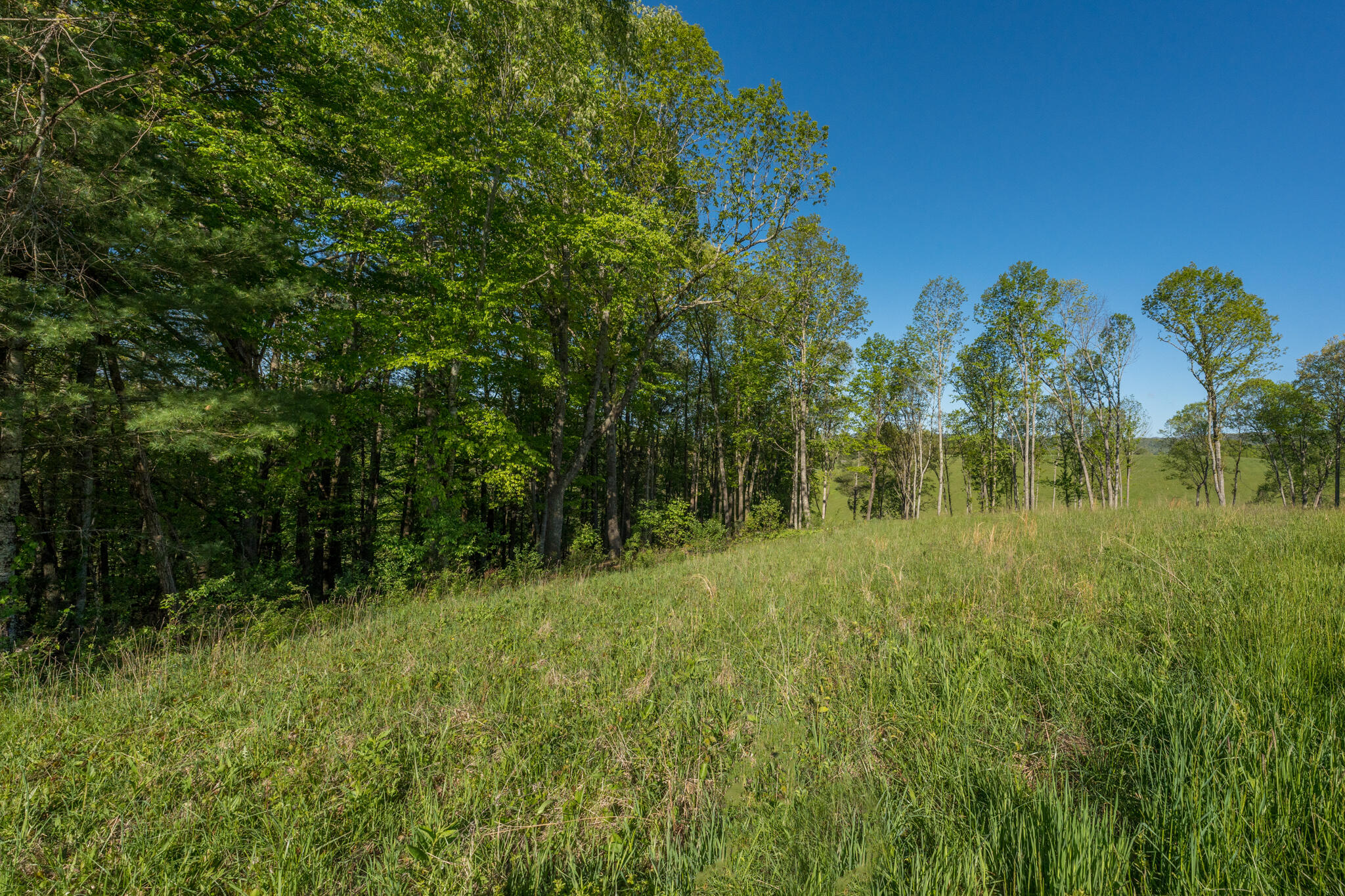 Lot 1 West Of Dry Hill Road, Unit 1 Butler, TN 37640 - Photo 36 of 53 TBD Eagle Ridge LOT 1 (37 of 37)
