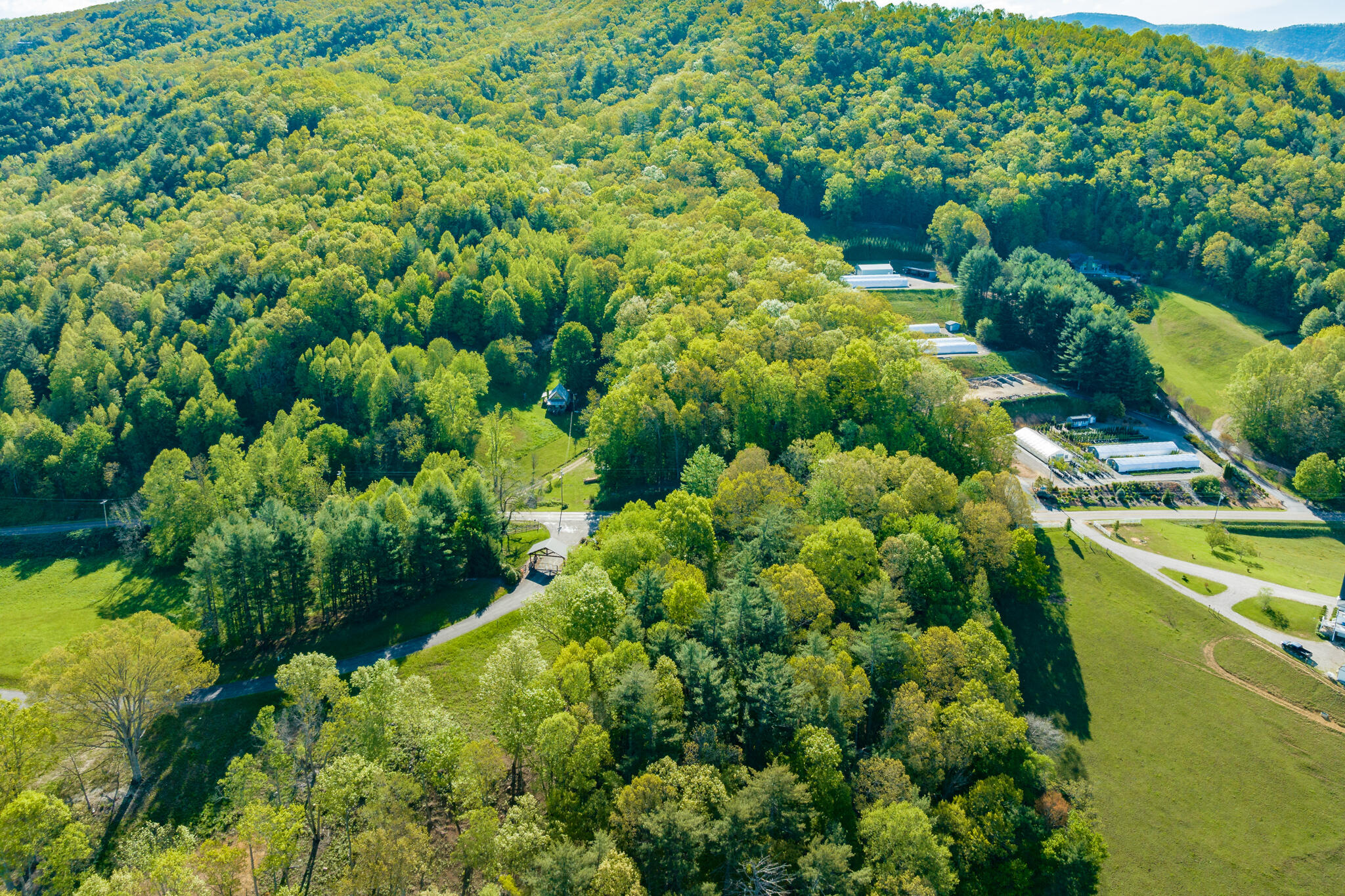 Lot 1 West Of Dry Hill Road, Unit 1 Butler, TN 37640 - Photo 4 of 53 TBD Eagle Ridge LOT 1 (4 of 37)