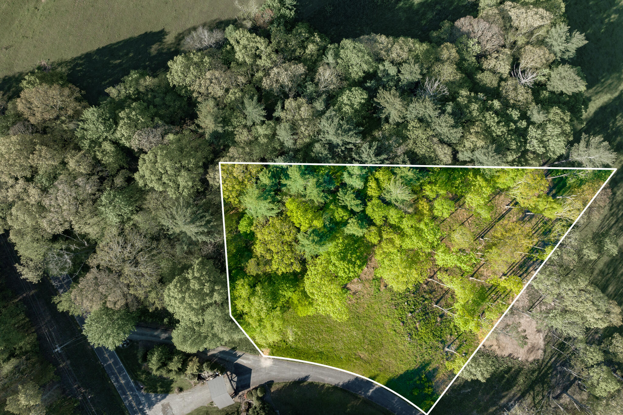 Lot 1 West Of Dry Hill Road, Unit 1 Butler, TN 37640 - Photo 5 of 53 TBD Eagle Ridge LOT 1 (5 of 37)