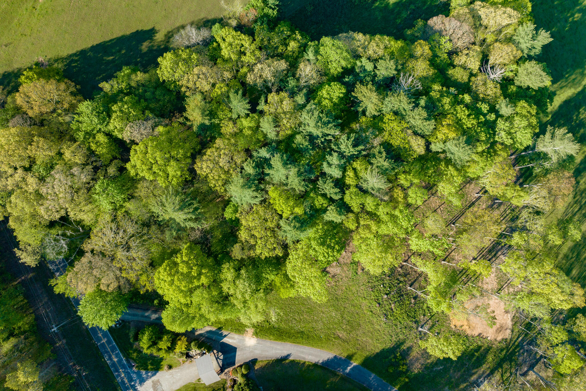 Lot 1 West Of Dry Hill Road, Unit 1 Butler, TN 37640 - Photo 6 of 53 TBD Eagle Ridge LOT 1 (6 of 37)