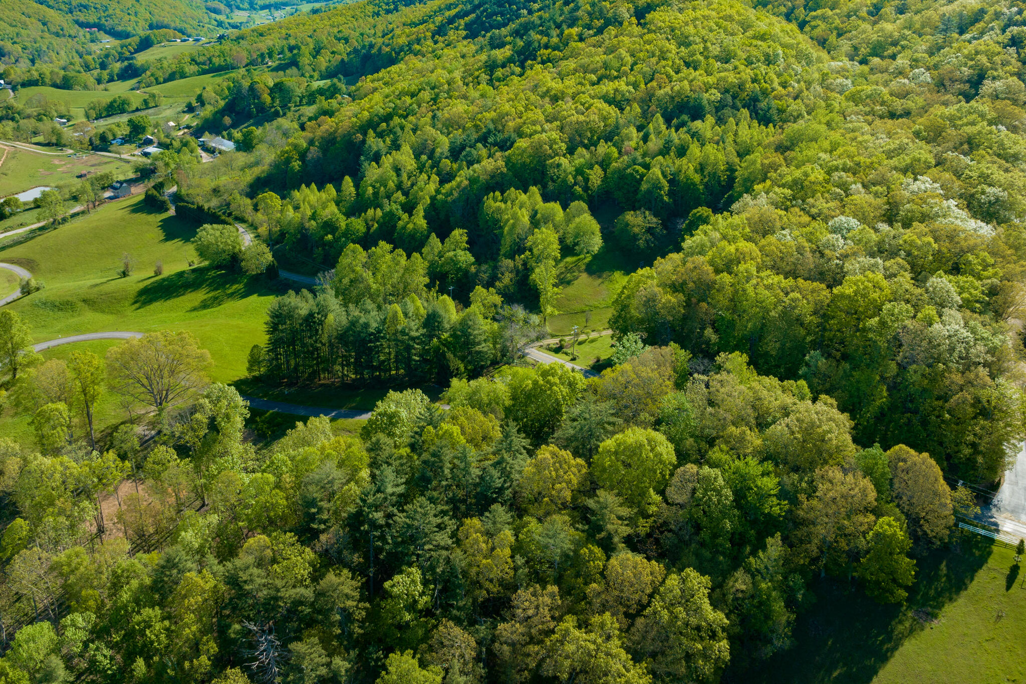 Lot 1 West Of Dry Hill Road, Unit 1 Butler, TN 37640 - Photo 10 of 53 TBD Eagle Ridge LOT 1 (11 of 37)
