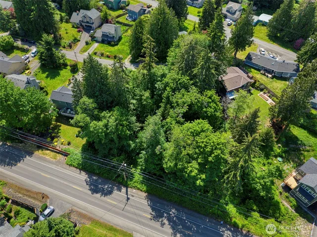a view of a garden with plants