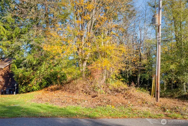 a backyard of a house with large trees