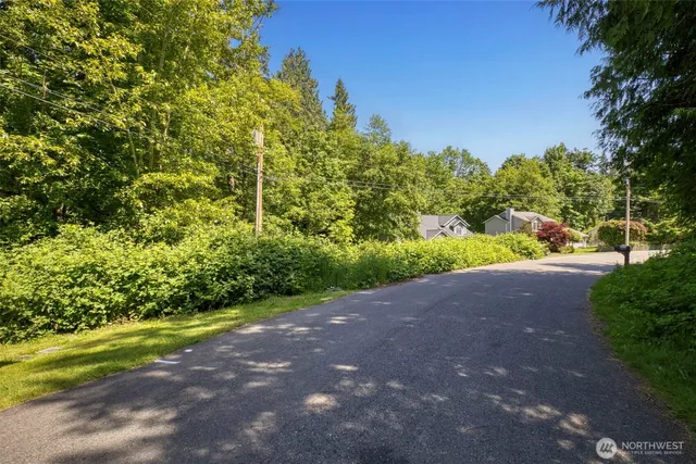 a view of a road with plants and trees all around