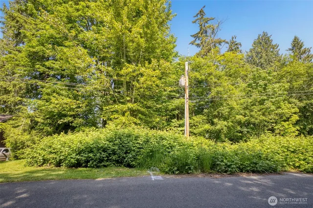 a view of a garden with plants
