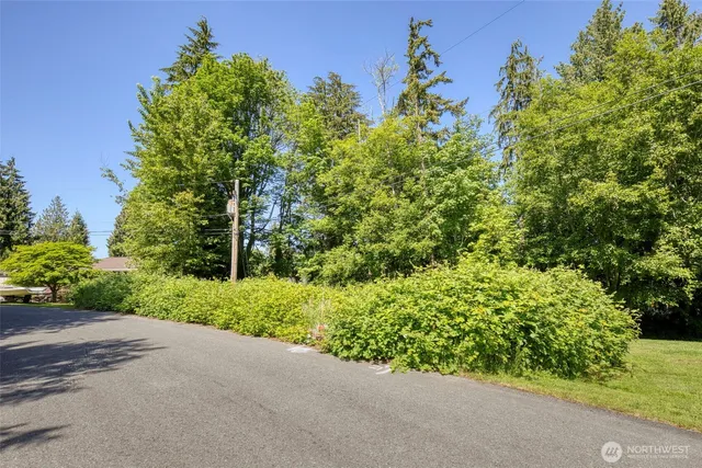 a view of a garden with plants and large trees