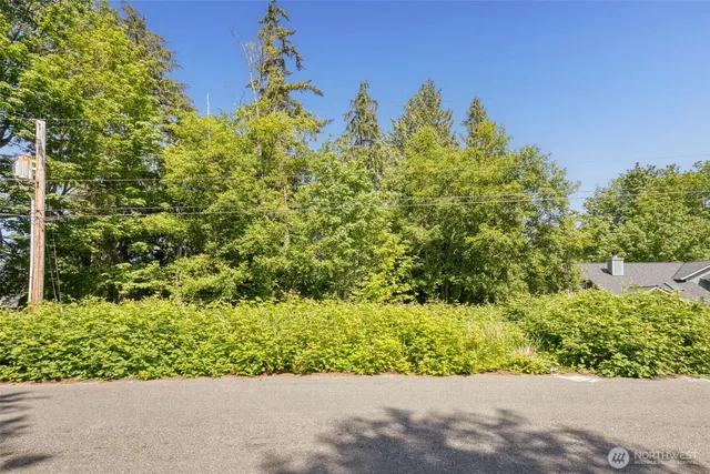 a view of a garden with an empty room