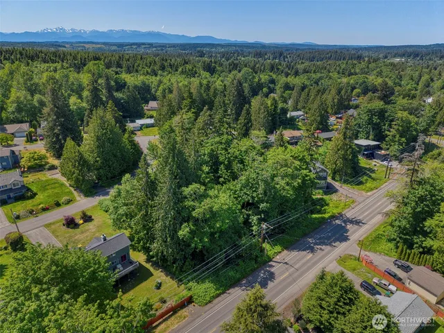 an aerial view of green landscape with trees houses and mountain view