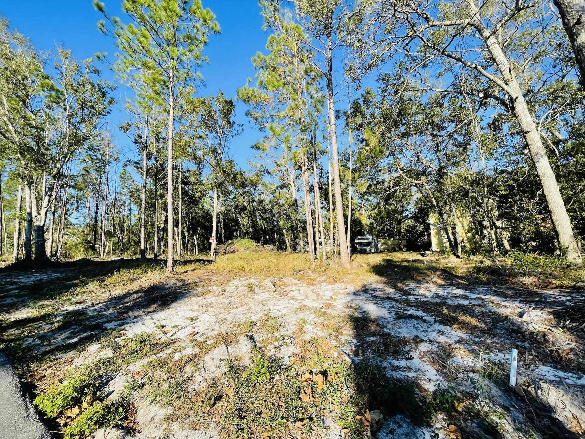 0 Look Rook Road Orange Beach, AL 36561 - Photo 3 of 6