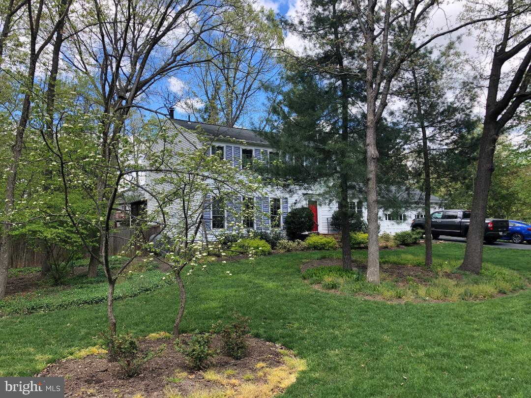 2400 Ivywood Road Reston, VA 20191 - Photo 6 of 6 Treed View